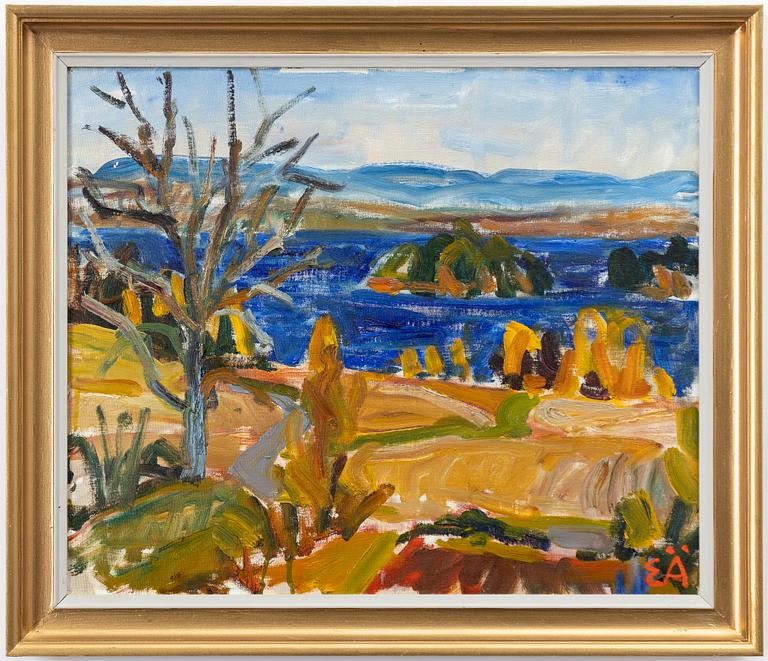 Erling Ärlingsson, View over Fryken.