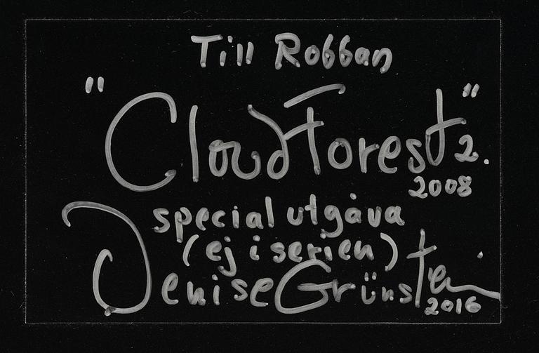 Denise Grünstein, "Cloud Forests".