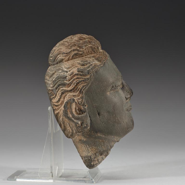 A stone sculpture of a head, Gandhara, presumably 2nd/3rd Century.