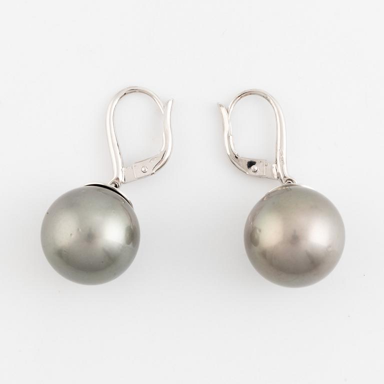 Cultured Tahiti pearl earrings.