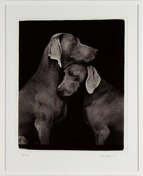 William Wegman, photograph, signed and dated -05.