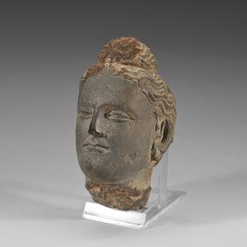 A stone sculpture of a head, Gandhara, presumably 2nd/3rd Century.