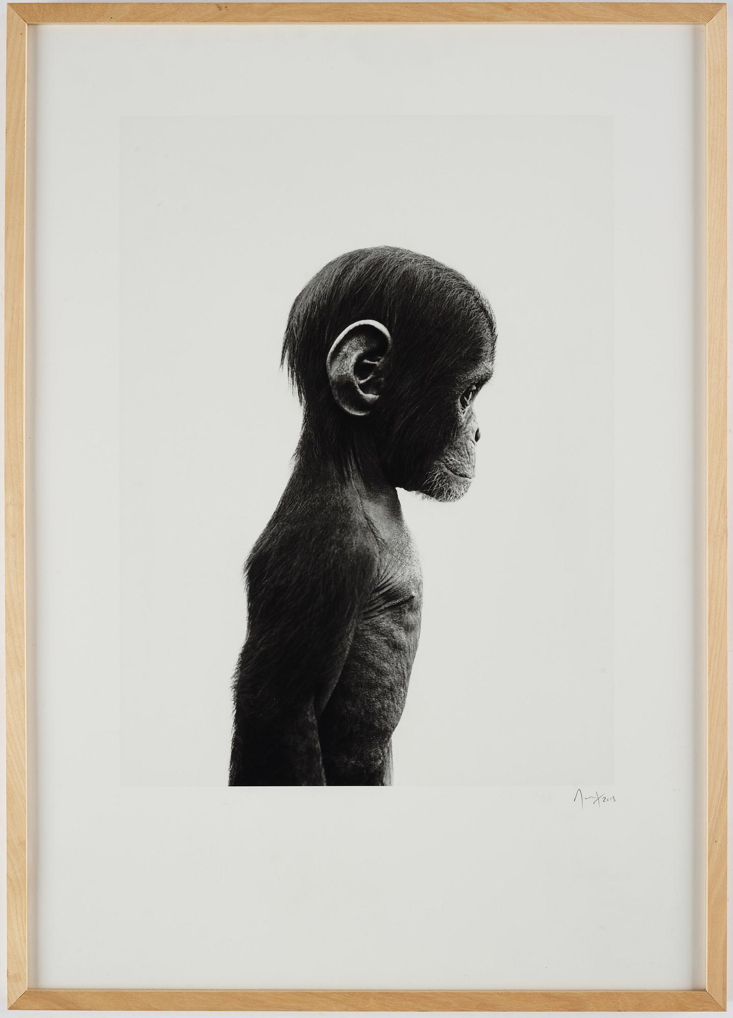 Ulf Rollof, pigment print, signed, dated 2013, edition 100.