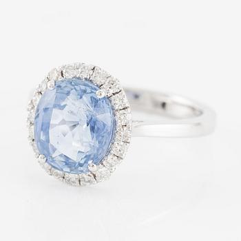 Ring 18K white gold with sapphire and brilliant-cut diamonds.