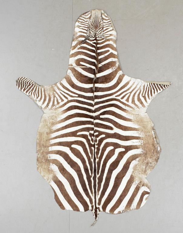 ZEBRASKINN, 1900-tal.