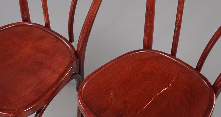 STOLAR, 8 st, Thonet-typ, 1900-talets andra hälft.