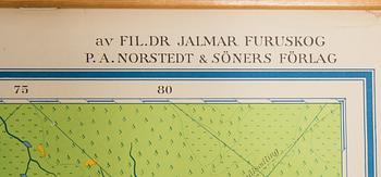 SKOLPLANSCH/KARTA, Europa, P-A. Nordstedt och Söner Förlag. 1962.