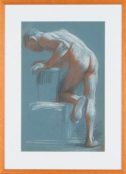 Santeri Salokivi, Male nude model.