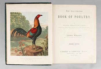 BOK, "The illustrated Book of Poultry" av Lewis Wright, Casell & Co, trol omkr 1900.