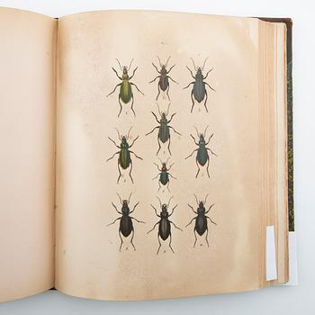 "Les Coléoptères..." & "Table Alphabetique .... Coléoptères", 2 volumes, Paris 1876 & 1875.