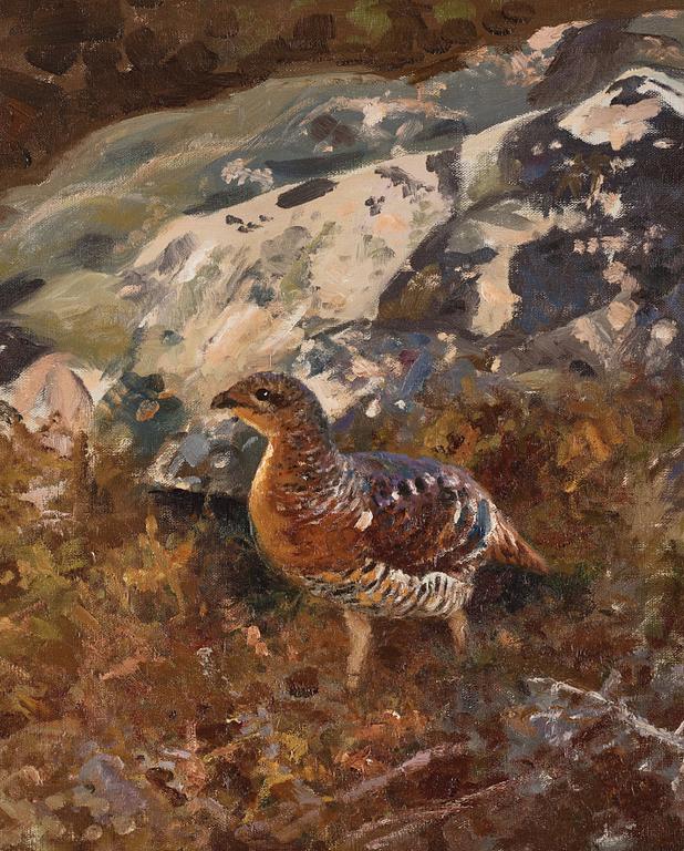 Thure Wallner, Orre.