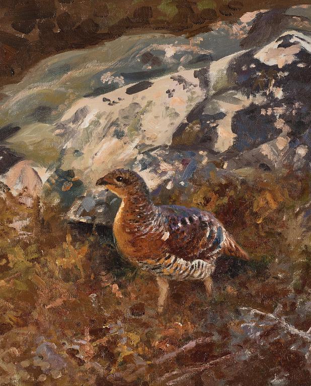 Thure Wallner, Grouse.