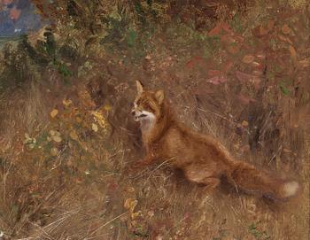 Bruno Liljefors, Fox on the hunt.