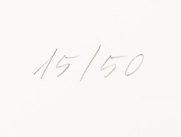 Raul Meel, "Windows and Landscape 5".