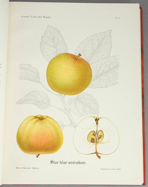 BOK, "Svenska Fruktsorter", Axel Phil och Jakob Eriksson, PA Norstedt & Söners Förlag Stockholm 1924.