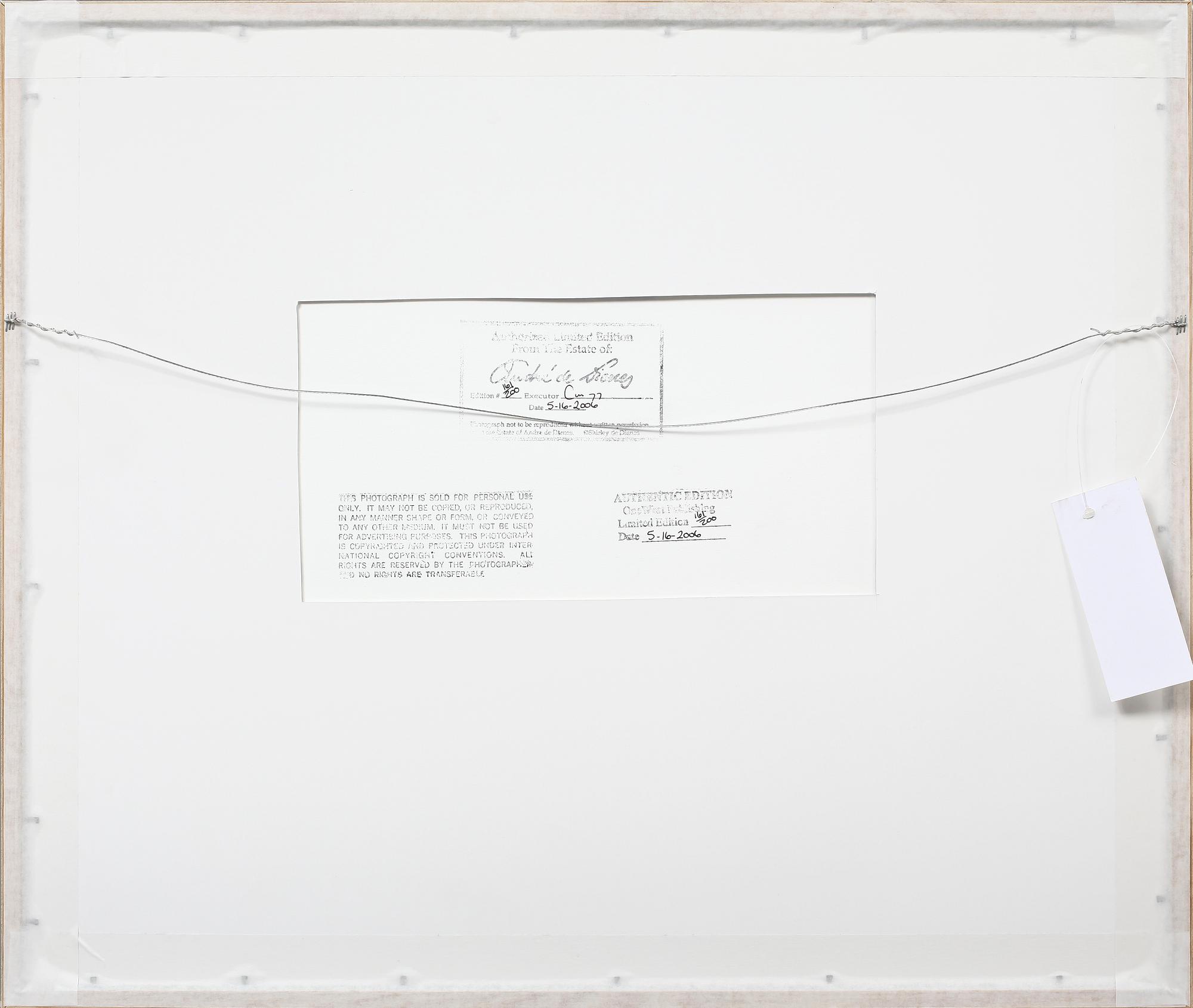 ANDRÉ DE DIENES, silvergelatinfotografi, stämpelsign á tergo, numr 161/200 samt dat 05-16-2006.