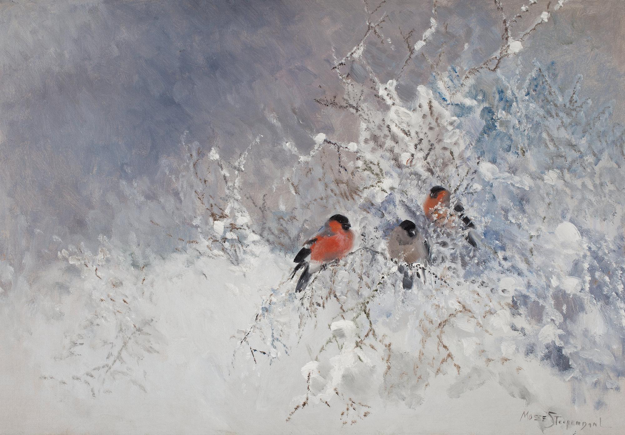 Mosse Stoopendaal, "Domherrar" (Bullfinches).