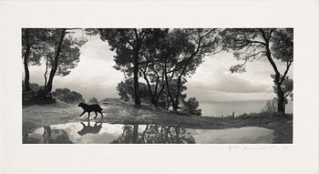Pentti Sammallahti, "Cilento, Italia, 1999".