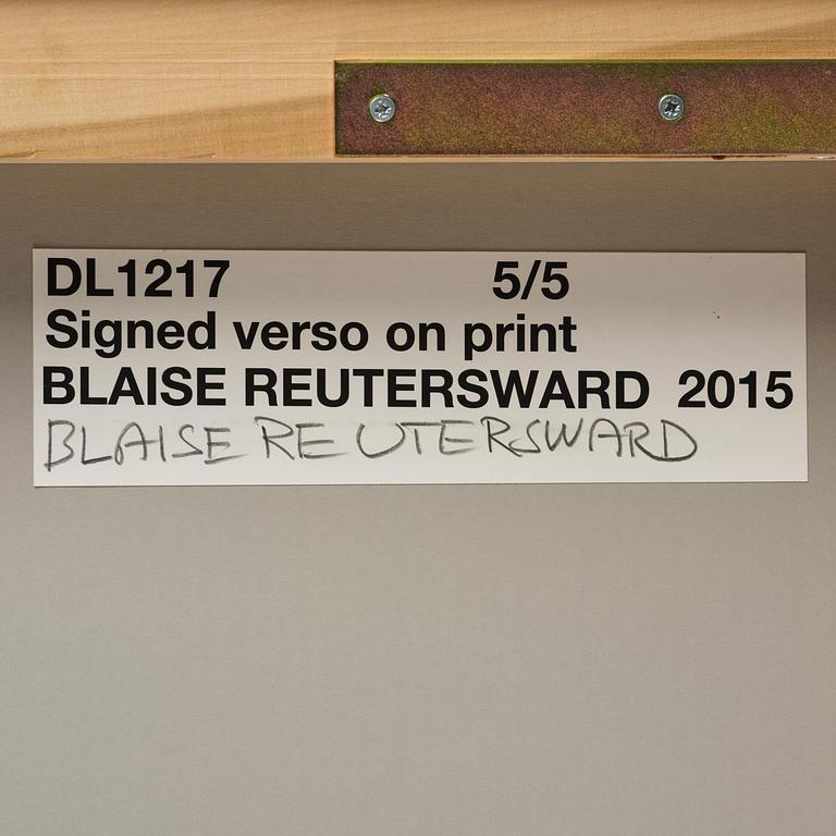 Blaise Reutersward, "DL1217", 2015.
