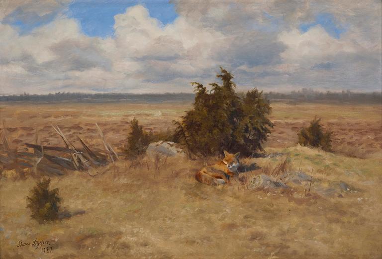 Bruno Liljefors, Resting fox.