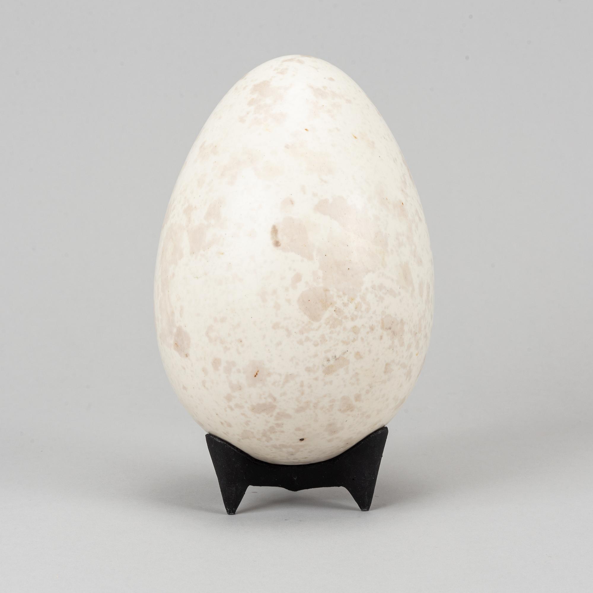 Hans Hedberg, a faience sculpture of an egg and a vase / egg cup, Biot, France.