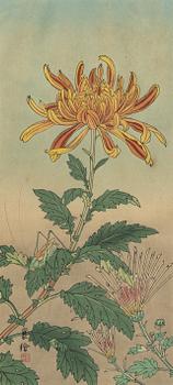 Jo (Yuzuru Hashimoto), "Chrysanthemums and Grasshopper".