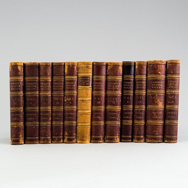 BOOKS, 12 volumes, 'English Botany' by Sir James Edward Smith, James Sowerby, London, 1832-46.