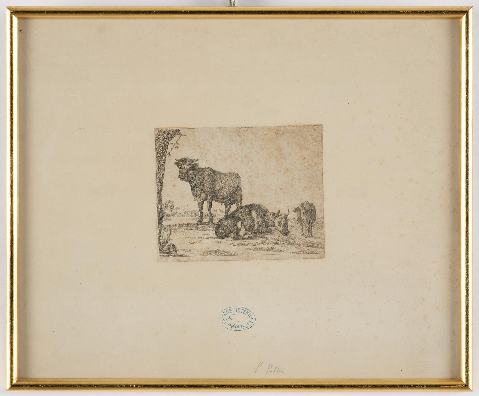 Paulus Potter, tillskriven, Boskap.