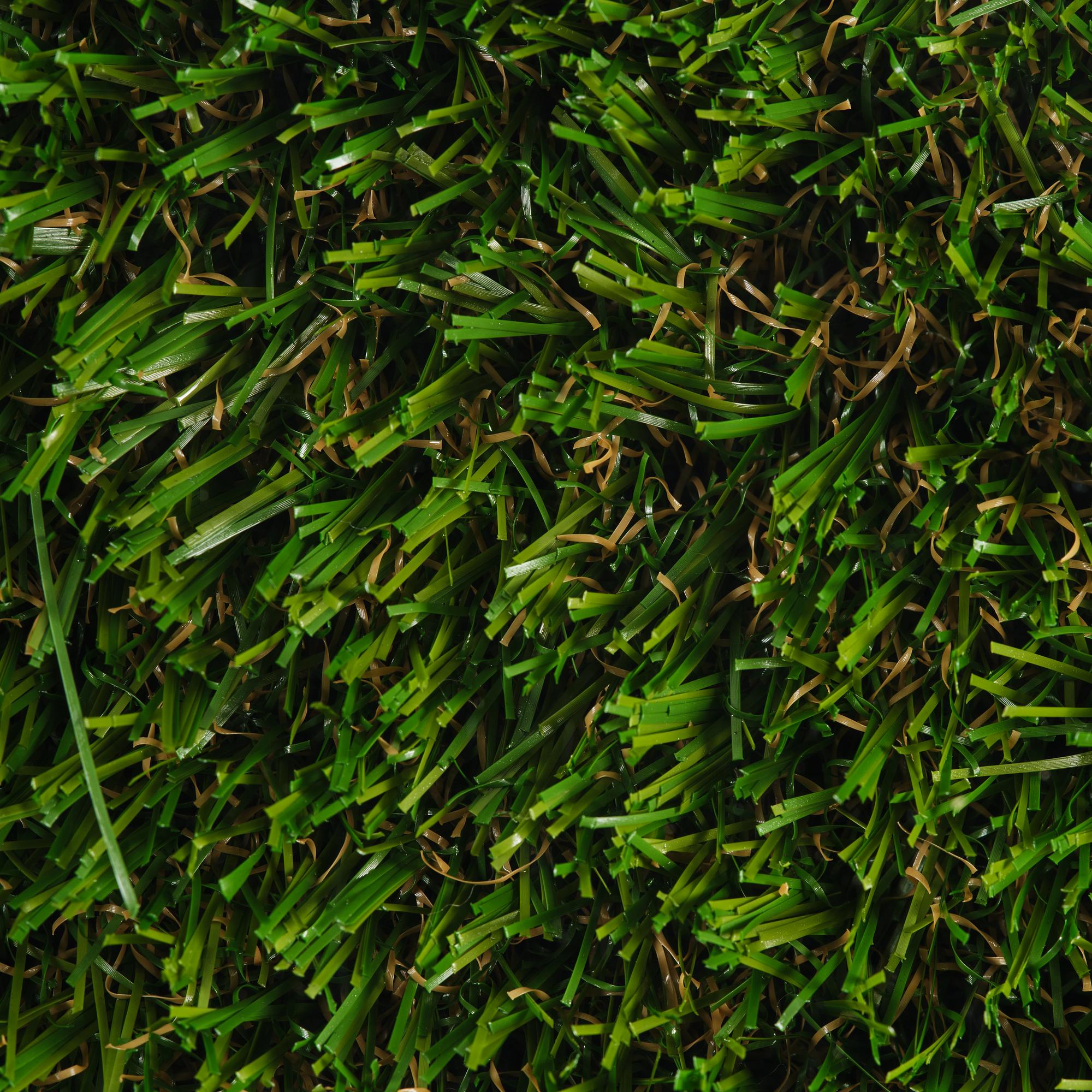 Yves Scherer, "Fructis Hardcore (1)".