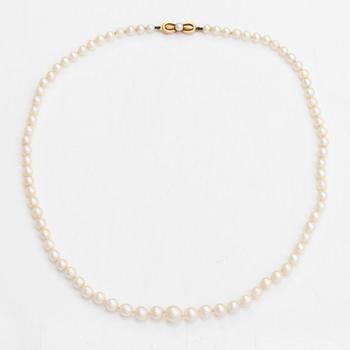 Pärlcollier, odlade pärlor och 14K guld.