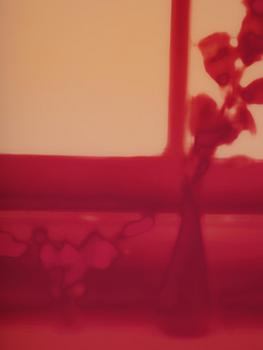 Uta Barth, "Untitled (06.11)".2006.