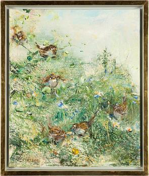 Åsa Eriksson, Birds.