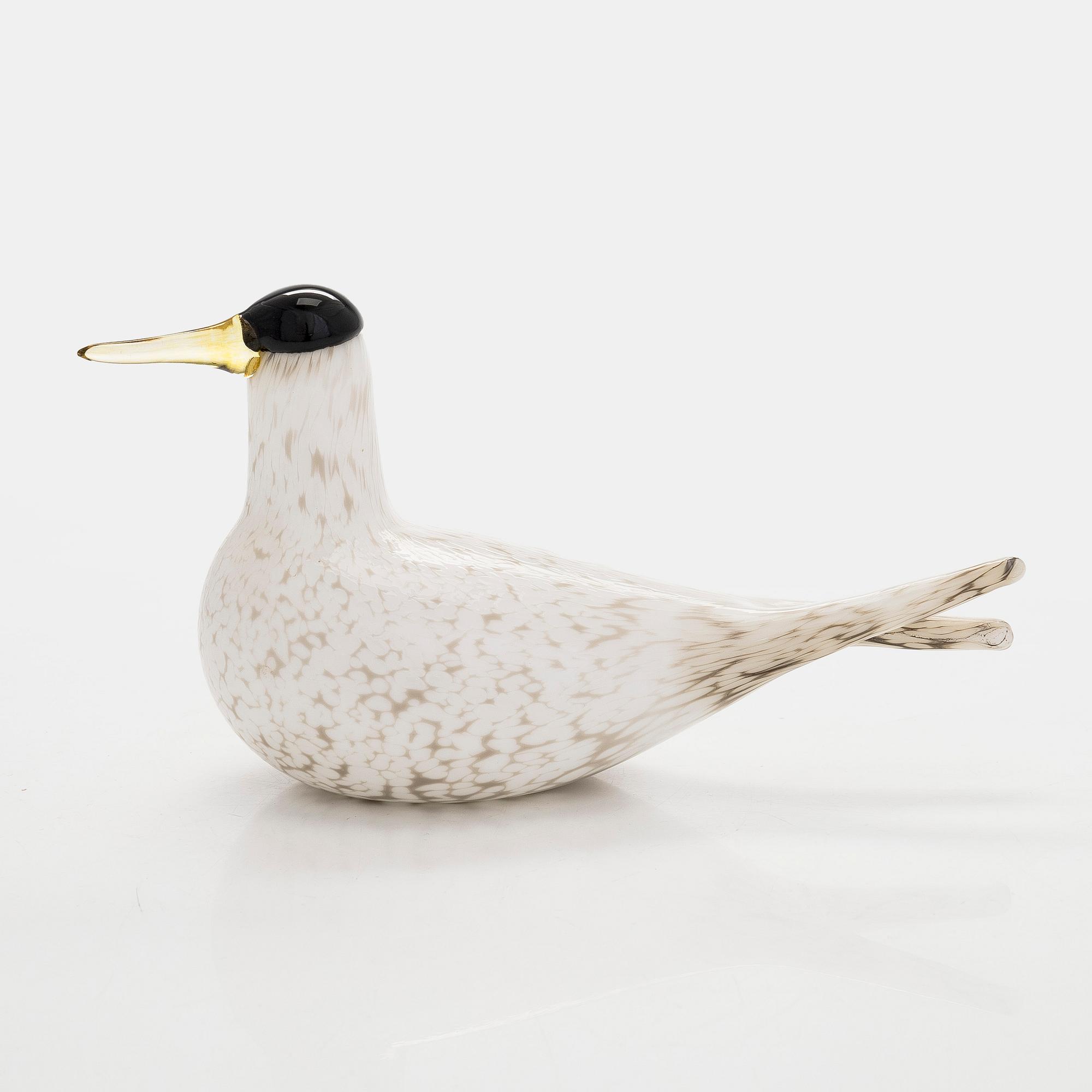Oiva Toikka, an annual glass bird, 'Arctic tern', signed O. Toikka Nuutajärvi 2000 Sonera GSM A-sarja.