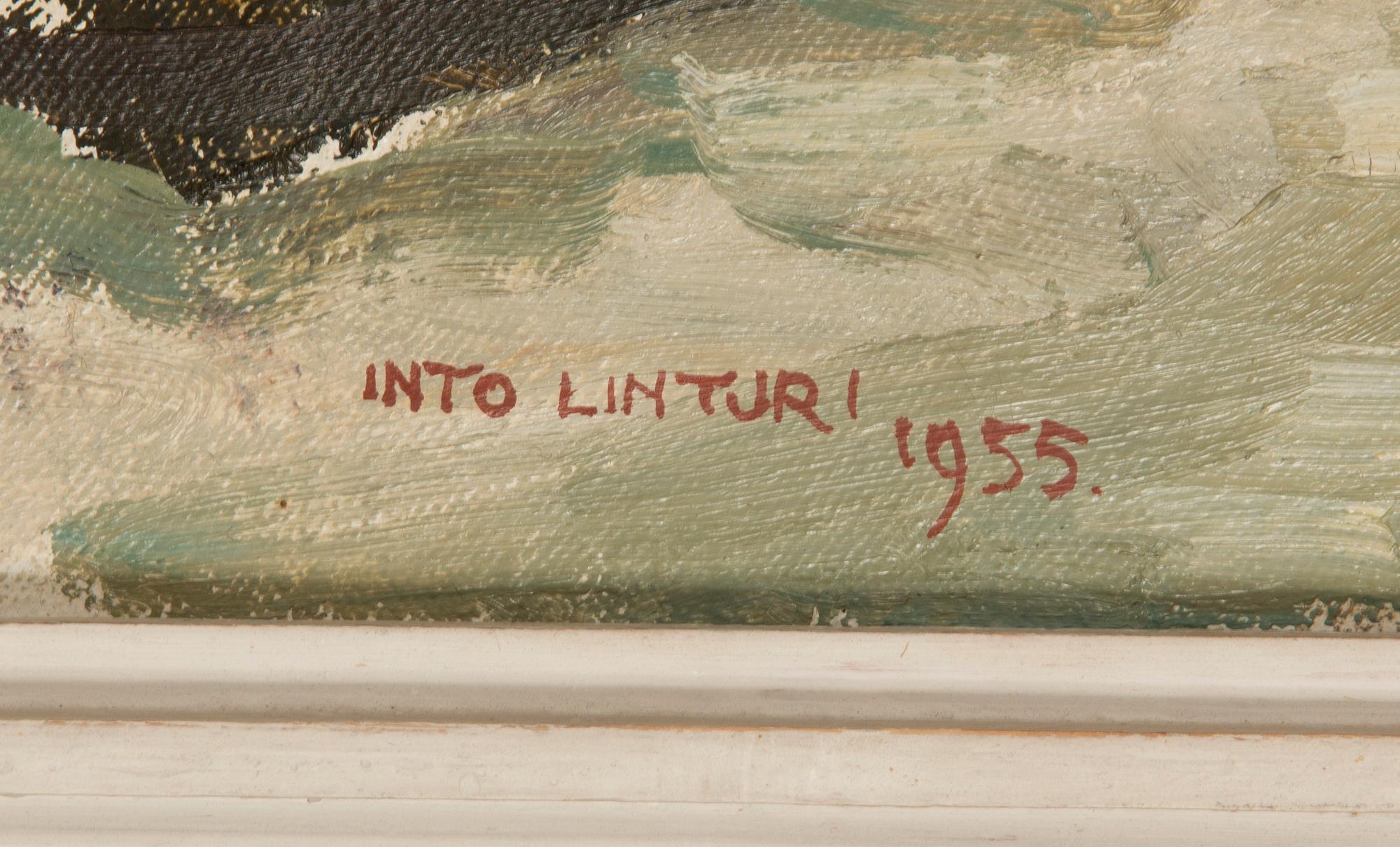 Into Linturi, 'Köyliönjärvi'.