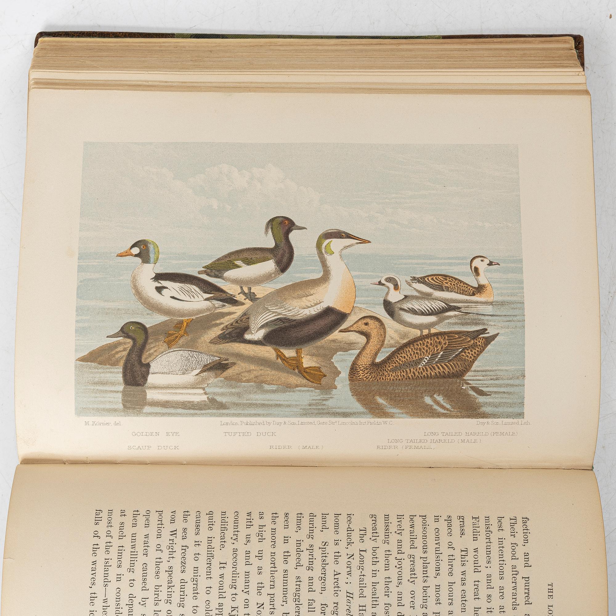 Collection of older books on hunting.