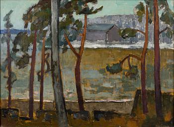 SEPPO NÄÄTÄNEN, olja på duk, signerad.