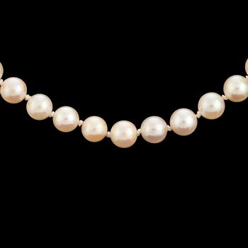 A necklace of cultured pearls with a clasp in 18K gold.