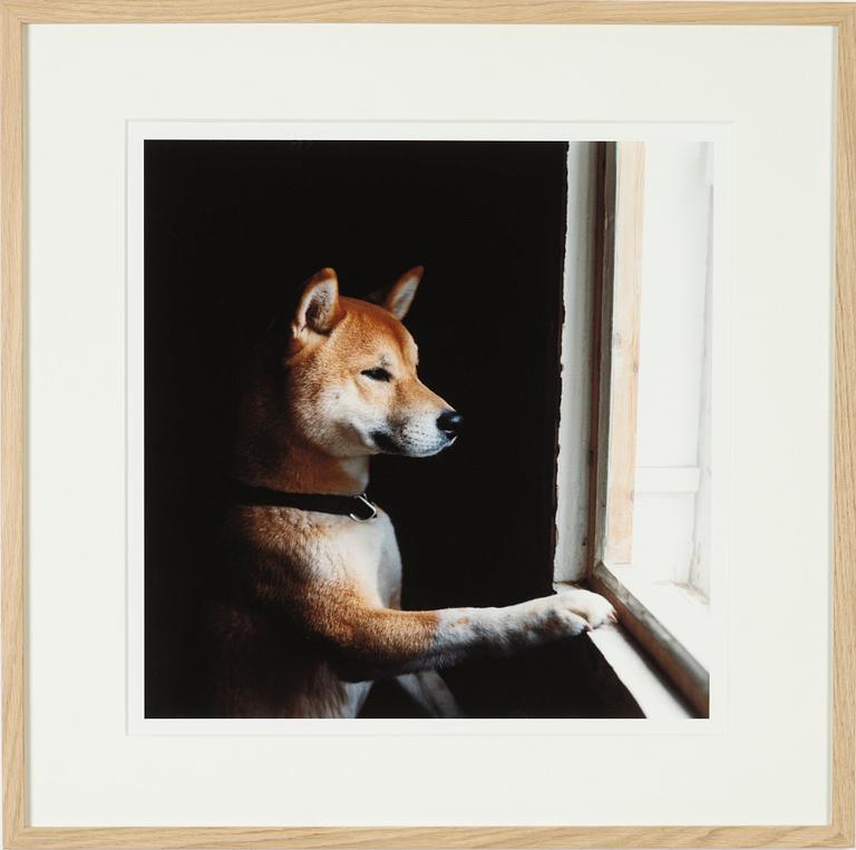 Peter de Ru, photograph signed and numbered AP1.