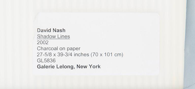 David Nash, "Shadow lines".