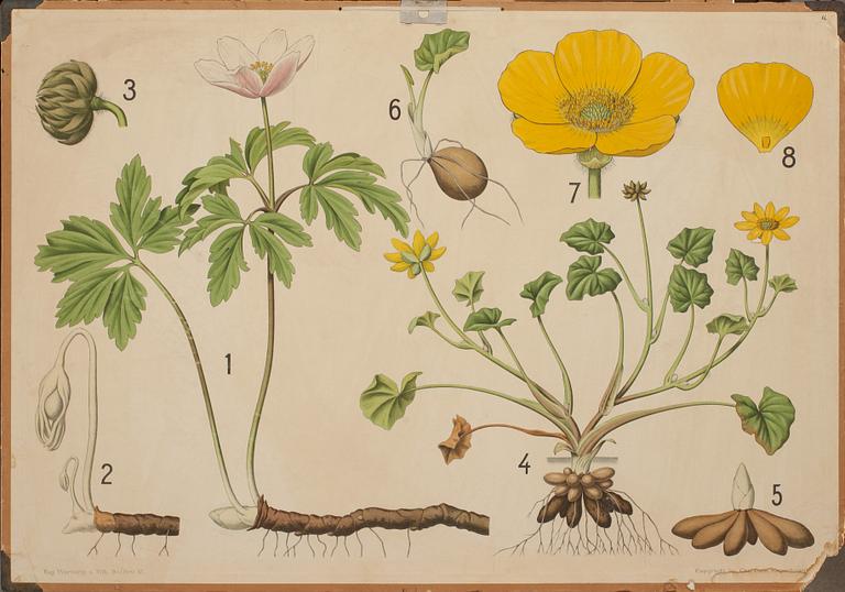 SKOLPLANSCHER, 4 st. 1900-tal.