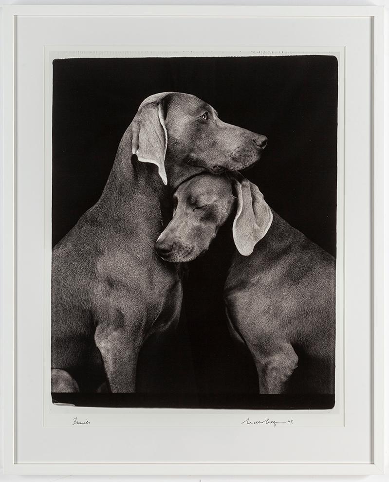 WILLIAM WEGMAN, fotografi, signerat och daterat -09.