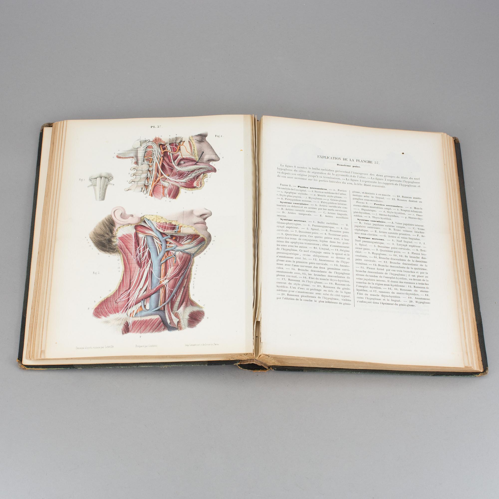 ATLAS, "Systeme Nerveux", Ludovic Hirschfeld, Victor Masson et Fils,  Paris, 1866.