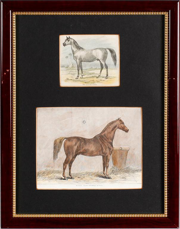 LITOGRAFISKA TRYCK, 4 st, kolorerade, omkring år 1900.