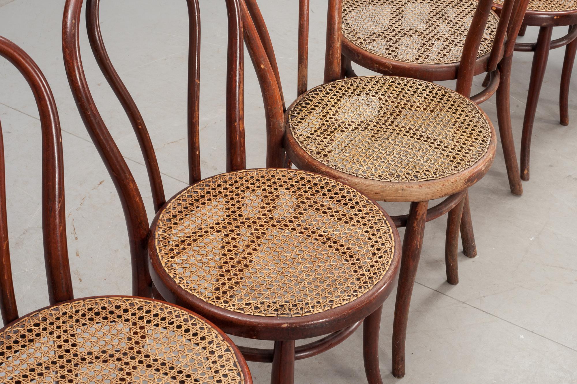 STOLAR, 6 st, Thonet, 1900-talets första hälft, brännmärkta.