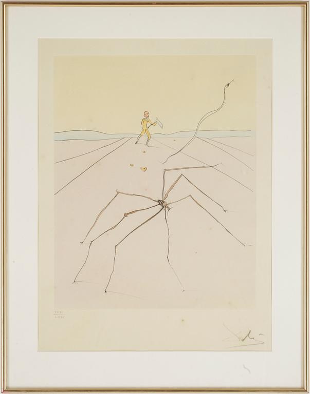 SALVADOR DALÍ, torrnålsgravyr, sign o numr XXXI / LXXV.