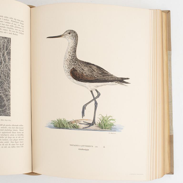 Bibliofilupplagan av von Wright: Svenska fåglar.