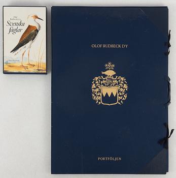 Olof Rudbeck d.y., "Svenska fåglar".