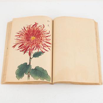 Bok, Hasegawa Keika 長谷川契華, '100 krysantemum' 契花百菊, volym III, Japan 1893.