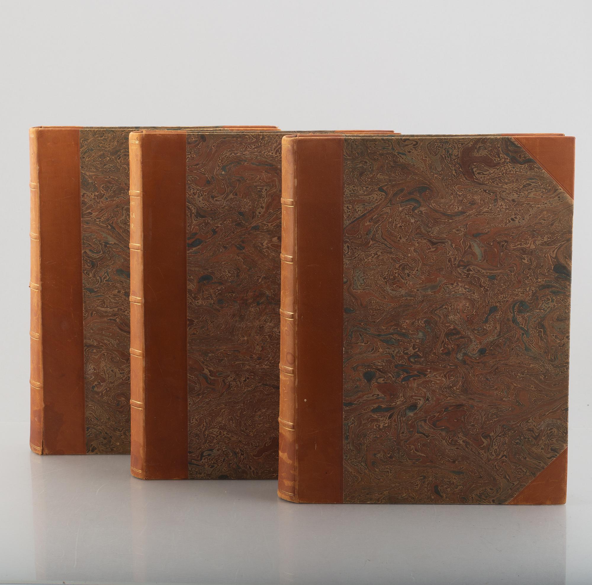 Bröderna von Wright, books 3 vol "Svenska fåglar", A. Börtzells tryckeri AB, Stockholm 1924-29.