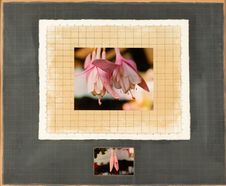 Michelle Stuart,"Correspondences: Time, Connecticut Fuchsia".